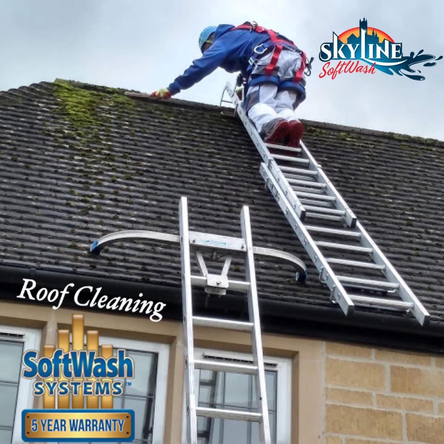 Professional roof cleaning  - before and after transformation